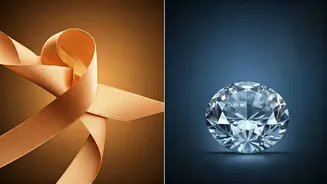 Sadhguru's Perspective: Live-in vs. Marriage – Making Conscious Choices for Lasting Relationships