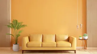 The Curved-Furniture Trend Rebalance Shows The Value Of Balanced Room Shapes
