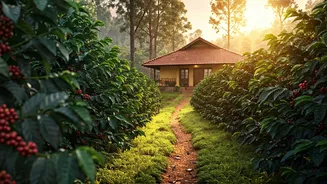 Coorg Plantation Retreats Offer Spectacular Value For Money Stays
