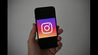 Centre Restores CJP's Instagram Account, Says Only Content-Level Action Was Warranted