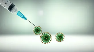 Rajasthan Launches Crucial HPV Vaccine Drive Feb 28: Parental Consent Essential for Cervical Cancer Prevention