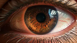 Sudden Vision Loss at Altitude: Causes & Prevention