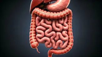 10 Gut-Healing Habits: A Gastro Doctor's Guide to Better Gut Health