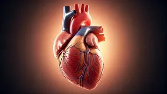 Protect Your Heart: Health Tips for Indians