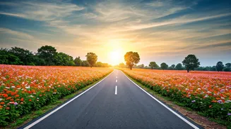 Peak Bloom Trips Need Advance Route Awareness