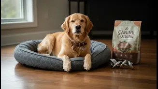 India's Premium Pet Economy is growing as animals become full family members