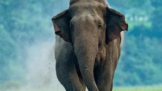 How Transport Connections Make Top Central Indian Reserves Accessible For November Weekend Escapes