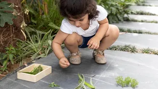 Fun nature activities to boost your child's curiosity