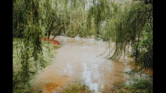 Flash Floods in Odisha's Kalahandi Due to Heavy Rainfall
