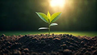 This Investment Strategy Rewards Patience