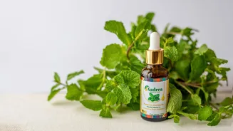 Feeling tired? Try this refreshing peppermint trick
