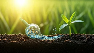 Nano Urea in India: Balancing Agricultural Innovation with Public Health Safeguards
