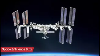 Science & Space Roundup: Top News of the Day (April 8)