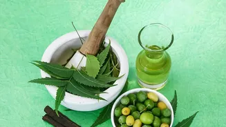 Dengue and Papaya Leaves: What Studies Show and What They Do Not