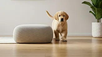 Pet Wellness Starts With Safer Home Design