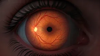 High Altitude Hiking: Vision Loss Risks & Solutions