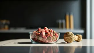 Why Urban Millennial Pet Parents Champion Raw Dog Food Trends