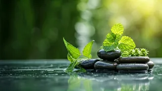 Beat the Heat: Ayurvedic Secrets to Combat Summer Sweat & Body Odor Naturally