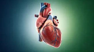 5 Drinks for a Healthy Heart: Reduce Plaque!