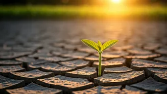 Cultivate Gratitude Daily: 5 Practical Ways to Appreciate Life, Even Through Hardship