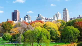 How City Dwellers Turn No-Spend Weekends Into Refreshing Budget-Friendly Leisure Time