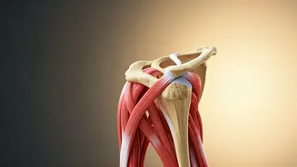 Keep Your Shoulders Healthy With These Tips