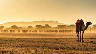Rajasthan Travel Needs Patience Before Pretty Photos