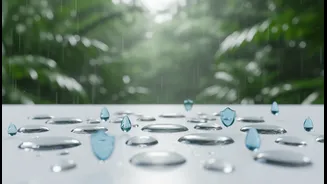 Rainy Days Need Hygiene, Not Just Chai