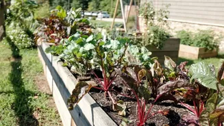 What is a self-sustaining garden?