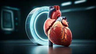 New Heart Health Guidelines: Get Tested for Lipoprotein(a) Once for Early Risk Detection