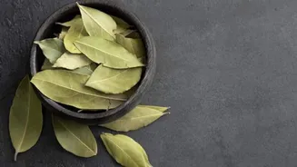 Do you know: Bay leaves can help relieve headaches