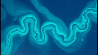 Why Massive Turquoise Algal Swirls Seen From Space Signal Disruptions In Coral Reef Systems