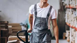 Labour Data Shows Why Entry-Level Choices Need Wider Context