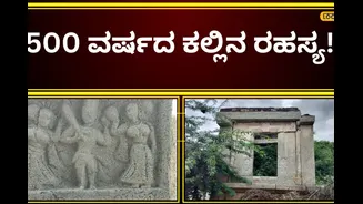 ಸಾಮಾನ್ಯ ಕಲ್ಲು ಹೇಳಿತು 500 ವರ್ಷದ ಇತಿಹಾಸ; ವಿಜಯನಗರ ಸಾಮ್ರಾಜ್ಯದ ಮತ್ತೊಂದು ರಹಸ್ಯ ಬೆಳಕಿಗೆ!