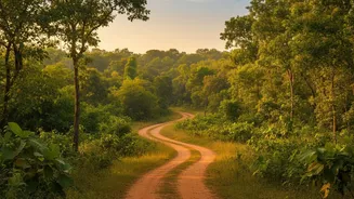 India’s Night Safari Dream Takes Shape At Lucknow’s Kukrail Reserve Forest