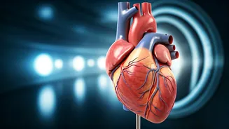 Unveiling the Power of Exercise: A Cardiologist's Guide to Blood Pressure