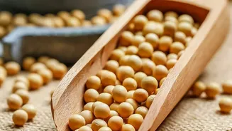 Pairing grains with legumes supplies complete plant based amino acids for muscle repair