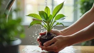 Use these AI tools for better plant care