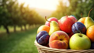 Himachal Pradesh: India's Verdant Fruit Bowl Bursting with Flavor