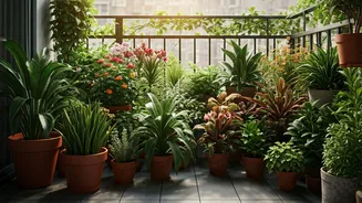 Balcony Gardens Replace Empty Corners In Indian Homes