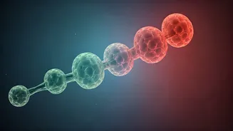 Adult Weight Gain: A Fivefold Jump in Risk for Specific Cancers Revealed