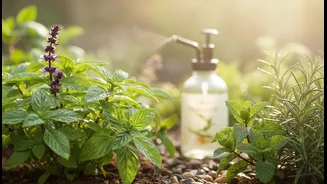 Avoid Chemical Sprays That Overpower Or Contaminate Edible Herbs