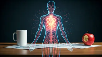 Unexplained Weight Gain in Women: Hormones, Stress, and Lifestyle Secrets Revealed