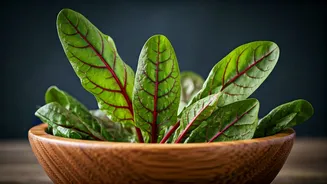 Unlock Vibrant Health: 5 Delicious Ways to Add Red Sorrel to Your Diet