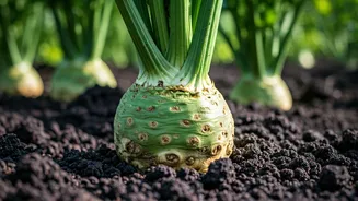 Nurturing Your Garden: Essential Tips for Success