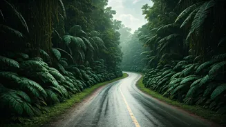 Flexible Routes Are Every Monsoon Traveller's Best Friend
