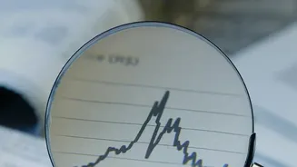 Indian Startup IPOs: How The DRHP Shows More Than The Company's Brand