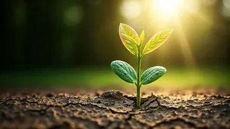 5 Japanese Wisdom Quotes to Empower Kids: Success, Resilience, and Confidence