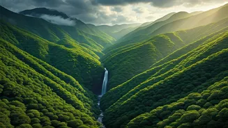 Green Landscapes Dominate Travel Instagram