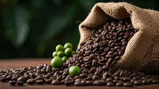 India's Coffee Exports Soar to $2.13 Billion: Your Guide to 6 Must-Visit Coffee Havens